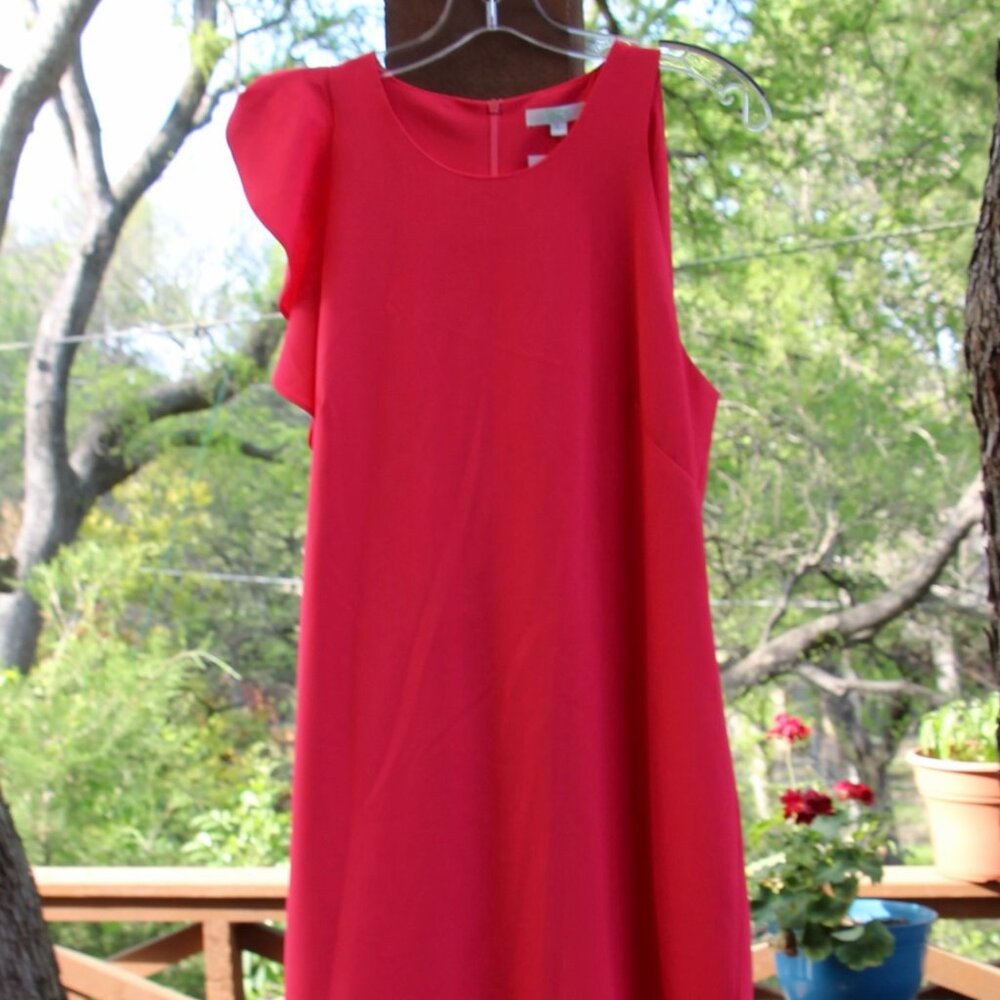 NWT Ladies Jade Dress size Large